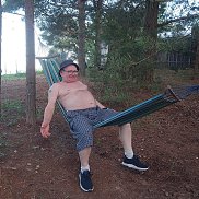 , 65 , 
