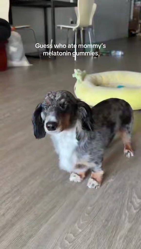 �e����a pacc�a�a�a, ��o e� �c �a��� ��a�o��� �ap�e�a�a c �e�a�o���o�. �e��epo�o��� c�e� �c� ... - 5