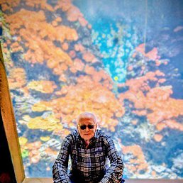 ���� Vladimir, ��������� - ��������� 18 �������� 2026