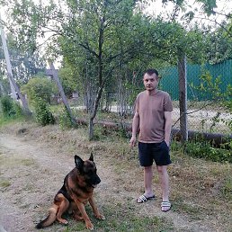 �������, ������, 41 ���