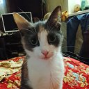 ���� ������, ������, 42 ���� - ��������� 25 ������� 2025