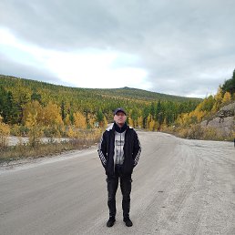 ���� �����, �����, 44 ���� - ��������� 18 ������� 2024