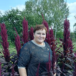 ., 65, 