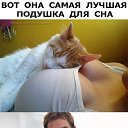))) �� ������� ���� ����������