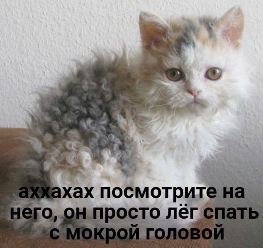    - 24  2024  11:45