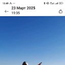 ���� ����, �������, 48 ��� - ��������� 28 ������� 2025