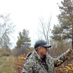 ����, ������, 71 ���