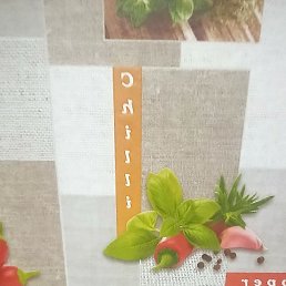 ���� �����, ������, 48 ��� - ��������� 17 ������� 2026