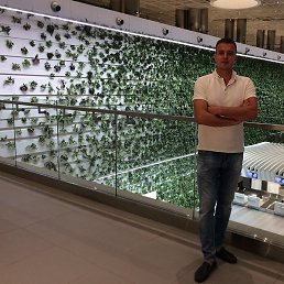 ����, ��������, 43 ����