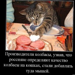 Box, ������, 39 ���