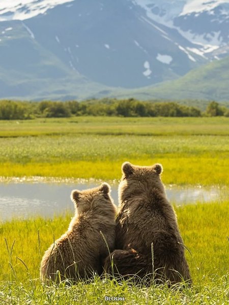 oopa a oco aeaea poae oe  aoao ape aa a ce  ... - 2