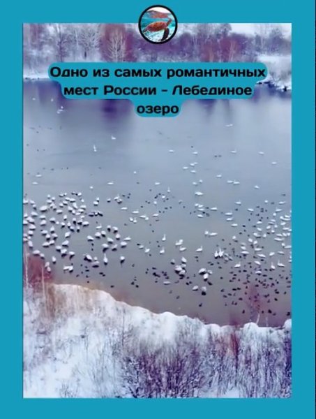  ,     ,    .  ... - 2