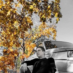 �������, �������, 31 ���