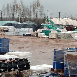 ����, �����������, 42 ����