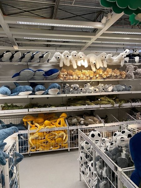 ���� ������������ � ������? �������� ���������������� �������� ���� � ���������� ��������� ������ ...