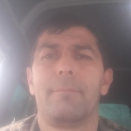 �����, �������, 43 ����