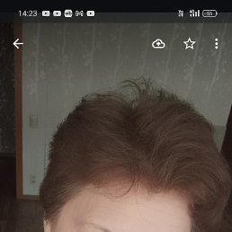 ���� �������, ��������� - ��������� 12 ������ 2026