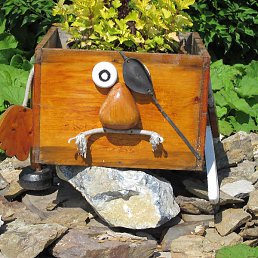 �����, �����������