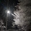 ���� �����, ������, 66 ��� - ��������� 9 ������ 2025 � ������ ���� ���...�