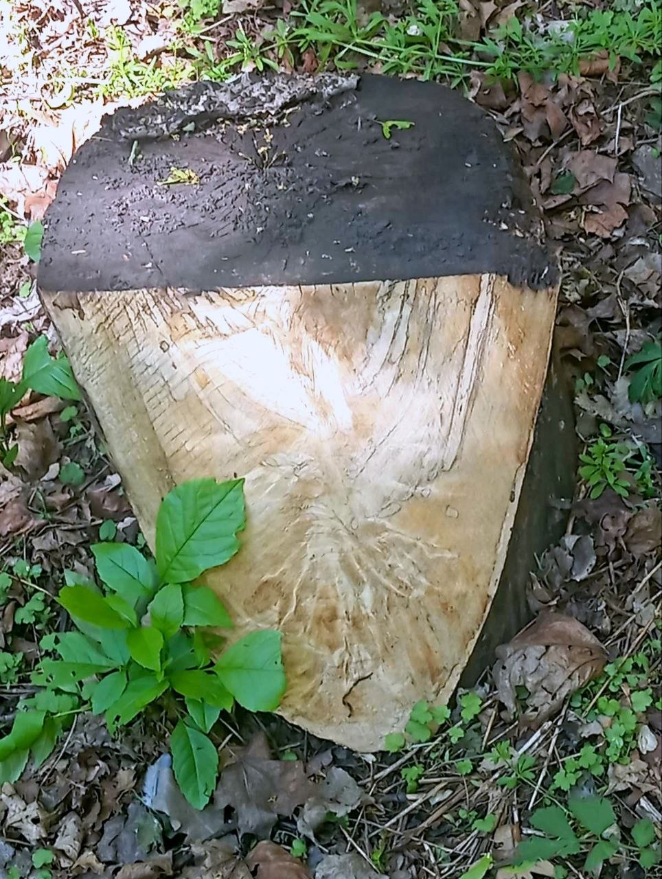  - 11  2025  22:44