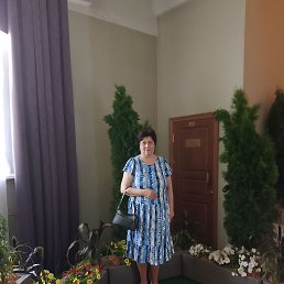 ���� �����, �����-���������, 52 ���� - ��������� 27 ���� 2026