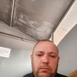 , 44, -