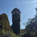 ���� �������, �����, 62 ���� - ��������� 1 �������� 2025 � ������ ���� ����������