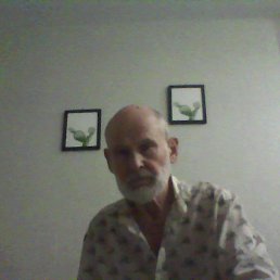 ���� ��������, ������� - ��������� 19 ������ 2024