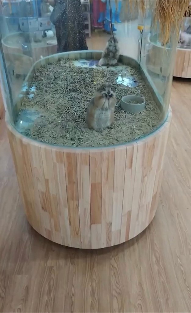 ep coco op co cpecco: oa o coaa co, o aa pc  o ...