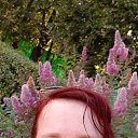 ���� �����, ������, 52 ���� - ��������� 14 ������� 2025