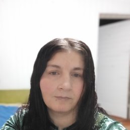 ������, 44 ����, ������