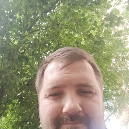 , 37 , -