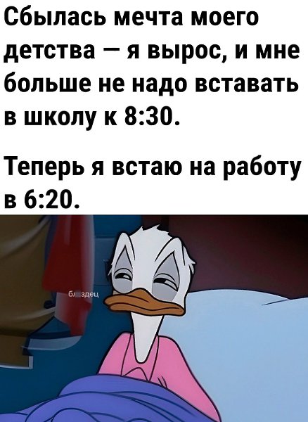  - 24  2024  17:05