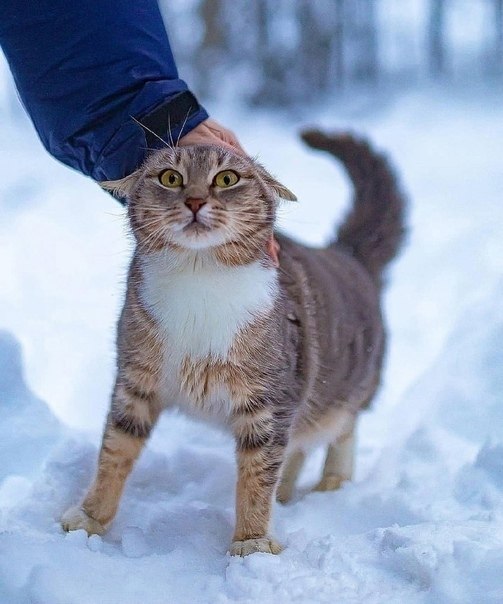   ,    ...   -,  ? - 2