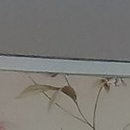 , , 20 