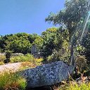���� �����, ����� - ��������� 20 ������� 2024 � ������ ���� ����������