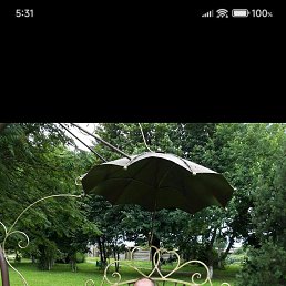 ���� �����, ���������, 43 ���� - ��������� 6 ������� 2025