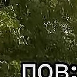 �����, �����, 20 ���