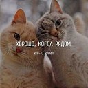 ���� ���, ����, 56 ��� - ��������� 8 ������ 2025 � ������ ������ ��������