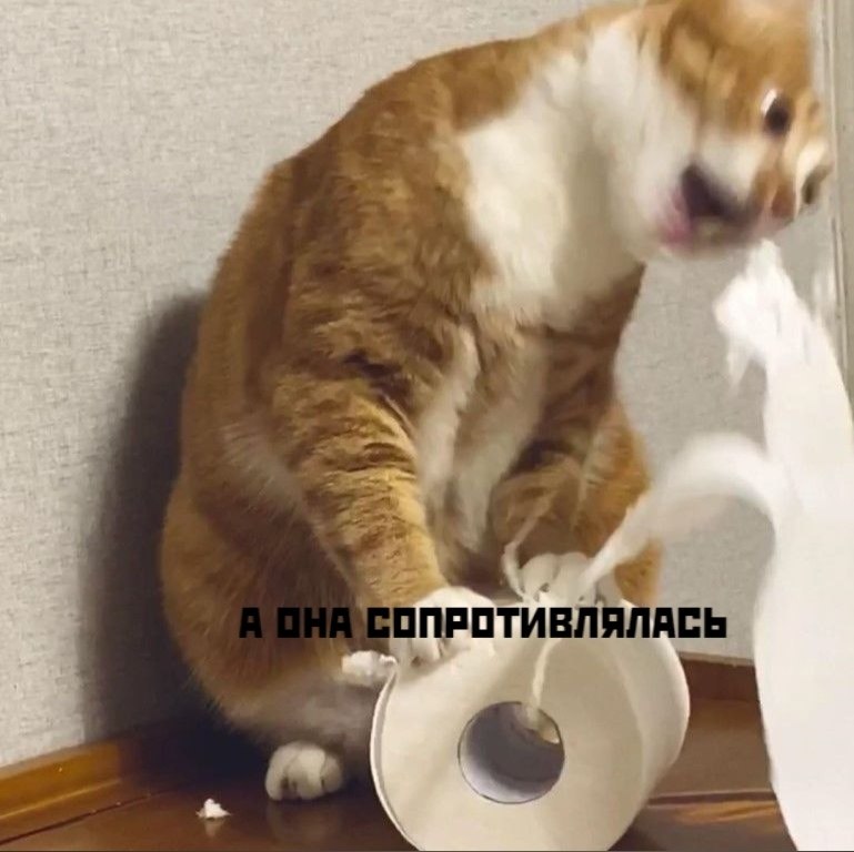 ��� ���� � ����� �� �� - 4 ������ 2026 � 16:23 - 3