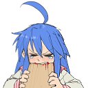 ���� �����, �����������, 25 ��� - ��������� 31 ��� 2024 � ������ ���� ����������