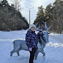 ���� �������� 14.02.2026�. �� ������� �2026�