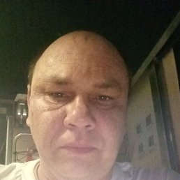 , 44, 