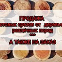 ���� ��������, ������-��-����, 38 ��� - ��������� 17 ������� 2026 � ������ ������ ��������