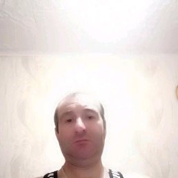 , 51 , 