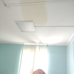 ����, �����������, 56 ���