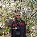���� ������, ���������, 41 ��� - ��������� 2 ������� 2024 � ������ ���� ����������