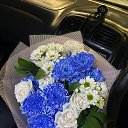 ���� �����, ����������, 38 ��� - ��������� 31 ��� 2024 � ������ ������ ��������