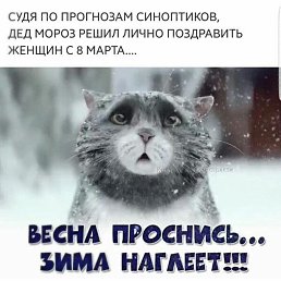  , , 50  -  6  2025
