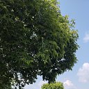 ���� ������, �������, 55 ��� - ��������� 24 ���� 2025 � ������ ���� ����������